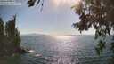 ./images/koeye/fitz-hugh/20260719/fitz-hugh20260719_170501M.jpg