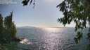 ./images/koeye/fitz-hugh/20260719/fitz-hugh20260719_171501M.jpg