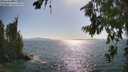./images/koeye/fitz-hugh/20260719/fitz-hugh20260719_172001M.jpg