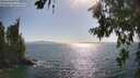 ./images/koeye/fitz-hugh/20260719/fitz-hugh20260719_172501M.jpg