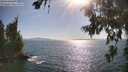./images/koeye/fitz-hugh/20260719/fitz-hugh20260719_173501M.jpg
