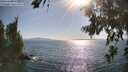 ./images/koeye/fitz-hugh/20260719/fitz-hugh20260719_174002M.jpg