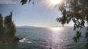 ./images/koeye/fitz-hugh/20260719/fitz-hugh20260719_174502M.jpg