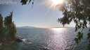 ./images/koeye/fitz-hugh/20260719/fitz-hugh20260719_175001M.jpg