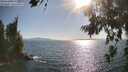 ./images/koeye/fitz-hugh/20260719/fitz-hugh20260719_175502M.jpg