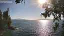 ./images/koeye/fitz-hugh/20260719/fitz-hugh20260719_181001M.jpg