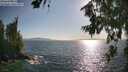 ./images/koeye/fitz-hugh/20260719/fitz-hugh20260719_182001M.jpg