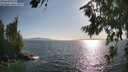 ./images/koeye/fitz-hugh/20260719/fitz-hugh20260719_182501M.jpg