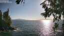 ./images/koeye/fitz-hugh/20260719/fitz-hugh20260719_183001M.jpg