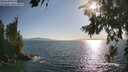 ./images/koeye/fitz-hugh/20260719/fitz-hugh20260719_183501M.jpg