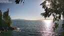 ./images/koeye/fitz-hugh/20260719/fitz-hugh20260719_184001M.jpg