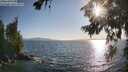 ./images/koeye/fitz-hugh/20260719/fitz-hugh20260719_185501M.jpg