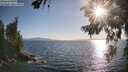 ./images/koeye/fitz-hugh/20260719/fitz-hugh20260719_190001M.jpg