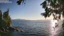 ./images/koeye/fitz-hugh/20260719/fitz-hugh20260719_193501M.jpg