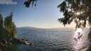 ./images/koeye/fitz-hugh/20260719/fitz-hugh20260719_194501M.jpg