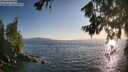 ./images/koeye/fitz-hugh/20260719/fitz-hugh20260719_195001M.jpg