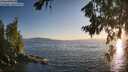 ./images/koeye/fitz-hugh/20260719/fitz-hugh20260719_202001M.jpg