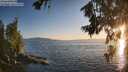 ./images/koeye/fitz-hugh/20260719/fitz-hugh20260719_203501M.jpg