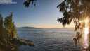 ./images/koeye/fitz-hugh/20260719/fitz-hugh20260719_204001M.jpg