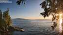 ./images/koeye/fitz-hugh/20260719/fitz-hugh20260719_204501M.jpg