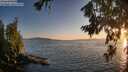 ./images/koeye/fitz-hugh/20260719/fitz-hugh20260719_205001M.jpg