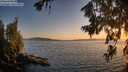 ./images/koeye/fitz-hugh/20260719/fitz-hugh20260719_211001M.jpg