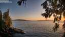 ./images/koeye/fitz-hugh/20260719/fitz-hugh20260719_211502M.jpg