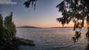 ./images/koeye/fitz-hugh/20260719/fitz-hugh20260719_214002M.jpg