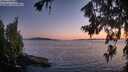 ./images/koeye/fitz-hugh/20260719/fitz-hugh20260719_215501M.jpg