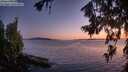 ./images/koeye/fitz-hugh/20260719/fitz-hugh20260719_221001M.jpg