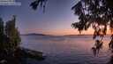 ./images/koeye/fitz-hugh/20260719/fitz-hugh20260719_221501M.jpg