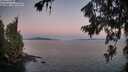 ./images/koeye/fitz-hugh/20260720/fitz-hugh20260720_053002M.jpg