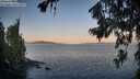 ./images/koeye/fitz-hugh/20260720/fitz-hugh20260720_062001M.jpg