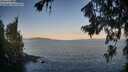 ./images/koeye/fitz-hugh/20260720/fitz-hugh20260720_064001M.jpg