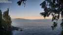 ./images/koeye/fitz-hugh/20260720/fitz-hugh20260720_064501M.jpg