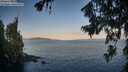 ./images/koeye/fitz-hugh/20260720/fitz-hugh20260720_065001M.jpg