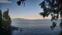 ./images/koeye/fitz-hugh/20260720/fitz-hugh20260720_070001M.jpg