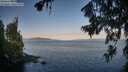 ./images/koeye/fitz-hugh/20260720/fitz-hugh20260720_071002M.jpg