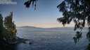 ./images/koeye/fitz-hugh/20260720/fitz-hugh20260720_071501M.jpg