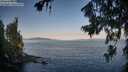 ./images/koeye/fitz-hugh/20260720/fitz-hugh20260720_072001M.jpg