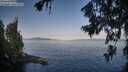 ./images/koeye/fitz-hugh/20260720/fitz-hugh20260720_074501M.jpg