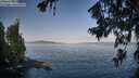 ./images/koeye/fitz-hugh/20260720/fitz-hugh20260720_075001M.jpg