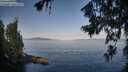 ./images/koeye/fitz-hugh/20260720/fitz-hugh20260720_075501M.jpg
