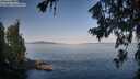 ./images/koeye/fitz-hugh/20260720/fitz-hugh20260720_080001M.jpg
