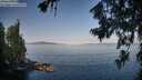 ./images/koeye/fitz-hugh/20260720/fitz-hugh20260720_080501M.jpg