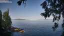./images/koeye/fitz-hugh/20260720/fitz-hugh20260720_082001M.jpg