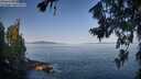 ./images/koeye/fitz-hugh/20260720/fitz-hugh20260720_084501M.jpg