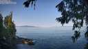./images/koeye/fitz-hugh/20260720/fitz-hugh20260720_085501M.jpg