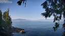 ./images/koeye/fitz-hugh/20260720/fitz-hugh20260720_090501M.jpg