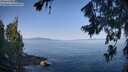 ./images/koeye/fitz-hugh/20260720/fitz-hugh20260720_091001M.jpg